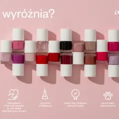 Rząd kolorowych lakierów do paznokci. Co to jest lakier uni? To wegański produkt z czystą formułą, pozyskiwany odpowiedzialnie.