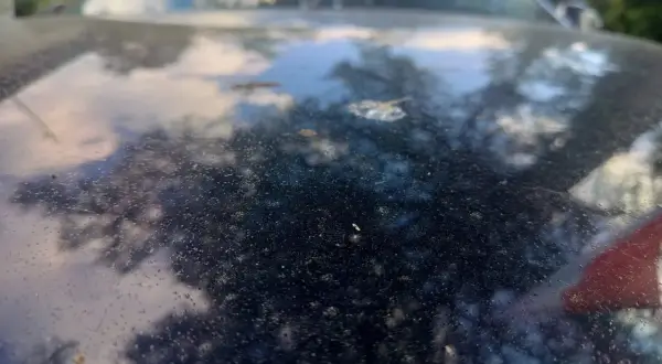 Na ciemnej karoserii samochodu widać liczne drobne plamki, w tym kilka większych, które wyglądają jak **ptasie odchody**.