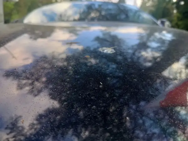 Na ciemnej karoserii samochodu widać liczne drobne plamki, w tym kilka większych, które wyglądają jak **ptasie odchody**.